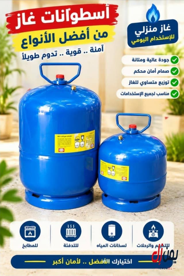 دبب أصلية كبيرة وصغيرة متوفرة في حضرموت / سيئون